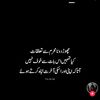naina14434