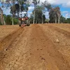 munrra23456