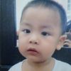 kimhonghoa11