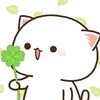 user7523491756948