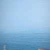 nauraa_fitrii04