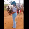 dasdoresjardimdeb