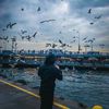 ahmedsaleh_59