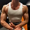 lucaandreoli___