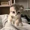 takemetoseethesea_