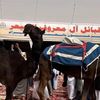 صيعريُ.