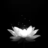 hongphuong.1211