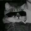 victxxx_02
