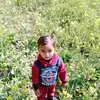 shahabhussain957