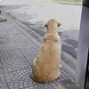 ductrieqs