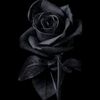 dannn0109