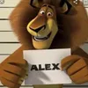 Alex Brasca