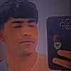 shahienarmani
