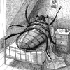 muzylon
