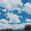 yourdreammm.14