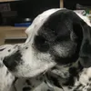 amaliagarciabautista