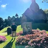 brunoanderson75