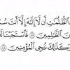 alaaamar46