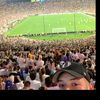 el_bicho3316