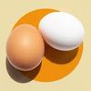 eggasourouss
