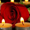 mahamd560375