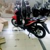 tarsontarsono1