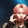 pig___v