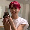 .won_cat