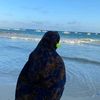 maryan.38