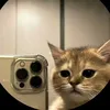 cutiecl1
