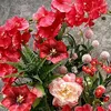 hoalan_456