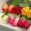 abdulmemon128