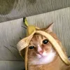 emvanhdangcap