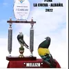 luis260587