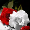 dyss7ykuddix