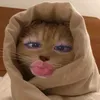 so.nuong_