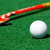 Amazing.fhockey