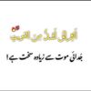 mehakmalik547