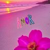 romyapaza01