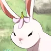 raig0t