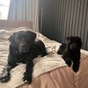 HarlemDug & Yuki