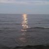 denster0403
