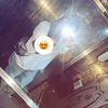 rokaya_.mohamed._