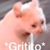davidisnthome00