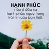 viet.mai58