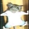 tikus_ganteng_malaya