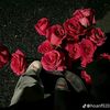 steffy_404f