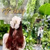 thitrinh487