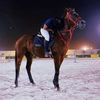 moha_5677