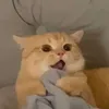 lai_la_tui_na